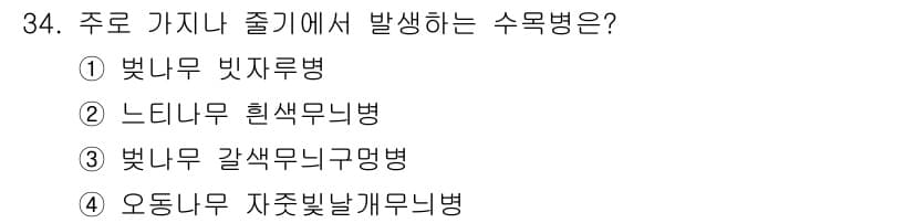 산림산업기사(구60문항) 2017년 34번 - 정답과 핵심 포인트를 검수 중인 기출문제
