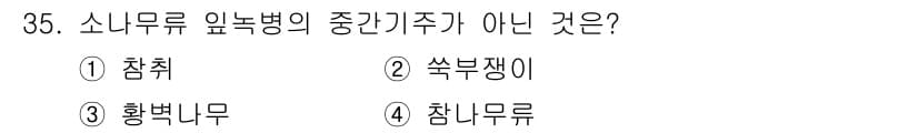 산림산업기사(구60문항) 2017년 35번 - 정답은 3번 황벚나무입니다. 소나무류 잎록병의 중간기주로는 찔레 및 쑥부... 에 관한 핵심 기출문제