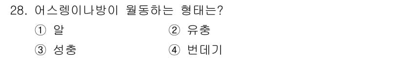 산림산업기사 2017년 28번 - 정답과 핵심 포인트를 검수 중인 기출문제
