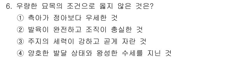 산림산업기사 2017년 6번 - 우량한 묘목의 조건에서 "양호한 발달 상태와 완성된 수세를 지닌 것"은 ... 에 관한 핵심 기출문제