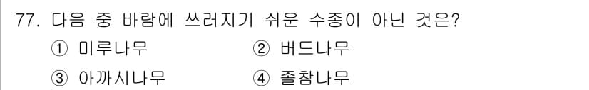조경기사 2016년 77번 - 정답은 2번, 버드나무입니다. 버드나무는 수분을 많이 필요로 하는 특성으... 에 관한 핵심 기출문제