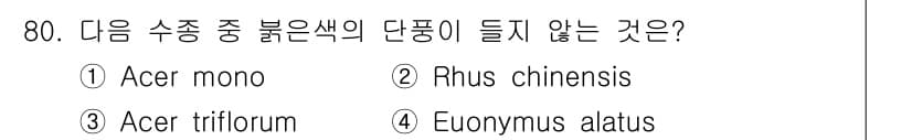 조경기사 2016년 80번 - 4. Euonymus alatus는 빨간색 단풍이 들지 않는 수종으로 알... 에 관한 핵심 기출문제
