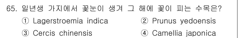 조경기사 2017년 66번 - 정답과 핵심 포인트를 검수 중인 기출문제