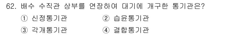 실내건축산업기사 2017년 62번 - 정답과 핵심 포인트를 검수 중인 기출문제