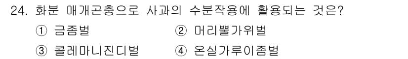 식물보호기사 2016년 24번 - 정답과 핵심 포인트를 검수 중인 기출문제
