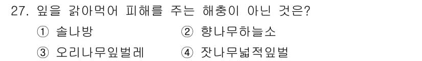 식물보호기사 2016년 27번 - 잣나무좀벌은 주로 잣나무와 관련된 해충으로, 다른 식물의 피해와 관련이 ... 에 관한 핵심 기출문제
