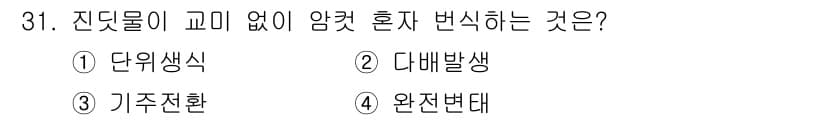 식물보호기사 2016년 31번 - 정답과 핵심 포인트를 검수 중인 기출문제