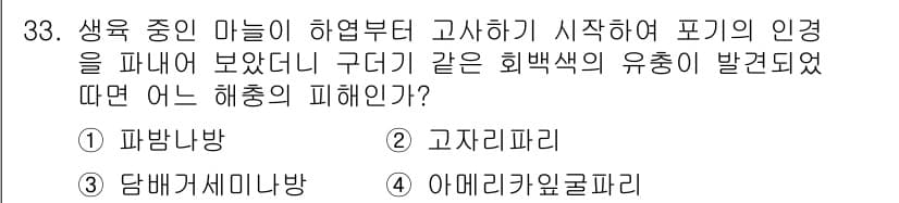 식물보호기사 2016년 33번 - 정답과 핵심 포인트를 검수 중인 기출문제