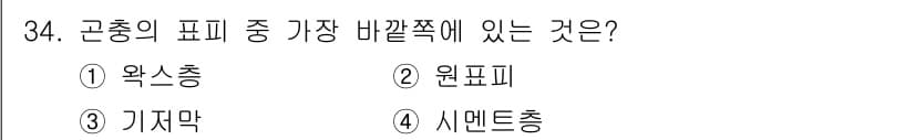 식물보호기사 2016년 34번 - 정답과 핵심 포인트를 검수 중인 기출문제