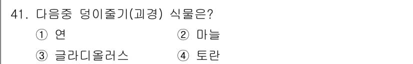식물보호기사 2016년 41번 - 정답과 핵심 포인트를 검수 중인 기출문제