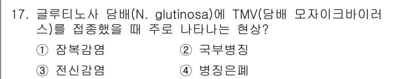 식물보호기사 2017년 17번 - N. glutinosa에 TMV를 접종하면 주로 병징이 나타나는 형태로,... 에 관한 핵심 기출문제