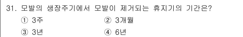 이용사 2016년 31번 - 정답과 핵심 포인트를 검수 중인 기출문제
