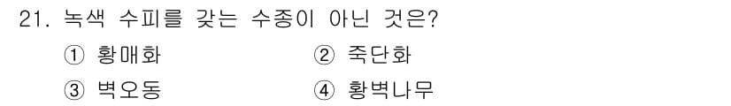 조경산업기사 2015년 21번 - . 황변나무  
황변나무는 일반적으로 녹색 수피를 가지지 않으며, 대신 ... 에 관한 핵심 기출문제