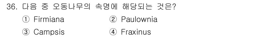 조경산업기사 2015년 36번 - . Firmiana  
Firmiana는 오동나무의 속명으로, 열대 및 ... 에 관한 핵심 기출문제