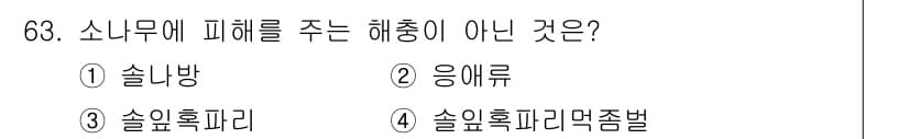 조경산업기사 2015년 63번 - 정답과 핵심 포인트를 검수 중인 기출문제