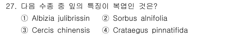 조경산업기사 2016년 27번 - 정답과 핵심 포인트를 검수 중인 기출문제