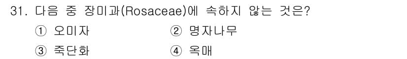 조경산업기사 2016년 31번 - 정답은 2. 명자나무입니다. 조경 식물 중 오미자, 죽단화, 익매는 모두... 에 관한 핵심 기출문제