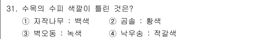 조경산업기사 2017년 31번 - 수목의 수피 색깔이 틀린 것은 2번입니다. 곰솔은 일반적으로 황색의 수피... 에 관한 핵심 기출문제