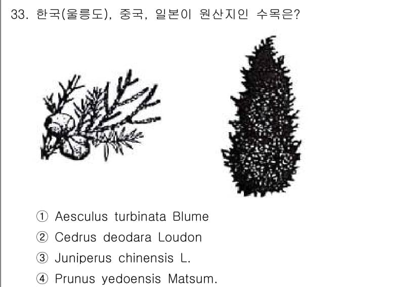 조경산업기사 2017년 33번 - 정답과 핵심 포인트를 검수 중인 기출문제
