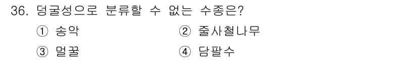 조경산업기사 2017년 36번 - 정답과 핵심 포인트를 검수 중인 기출문제