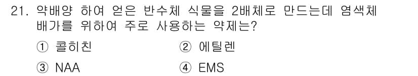 종자기사 2016년 21번 - 정답과 핵심 포인트를 검수 중인 기출문제