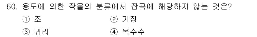 종자기사 2016년 60번 - 정답과 핵심 포인트를 검수 중인 기출문제