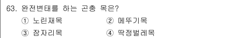종자기사 2016년 63번 - 정답과 핵심 포인트를 검수 중인 기출문제