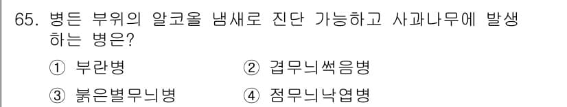 종자기사 2016년 65번 - 정답과 핵심 포인트를 검수 중인 기출문제