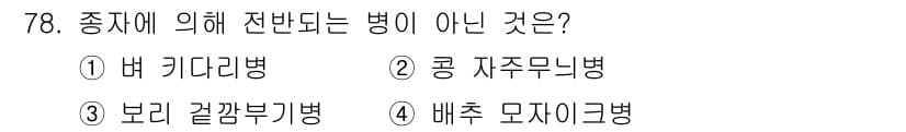 종자기사 2016년 78번 - . 콩 자주무늬병은 곰팡이에 의해 발생하는 병으로, 종자 전염이 아닌 주... 에 관한 핵심 기출문제