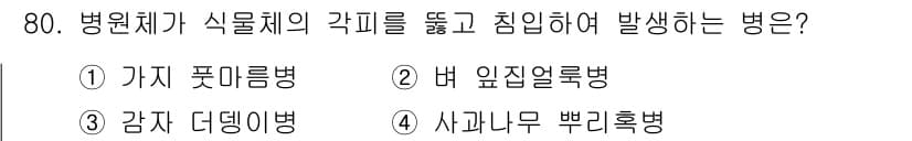 종자기사 2016년 80번 - 정답과 핵심 포인트를 검수 중인 기출문제
