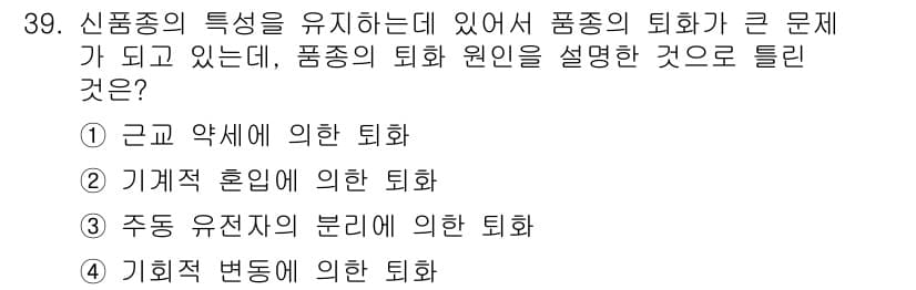 종자기사 2017년 39번 - 정답과 핵심 포인트를 검수 중인 기출문제