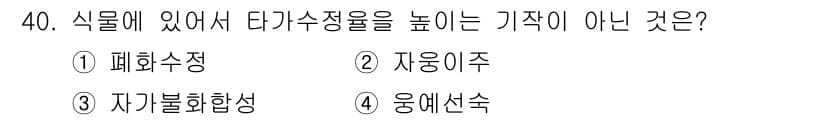 종자기사 2017년 40번 - 정답과 핵심 포인트를 검수 중인 기출문제