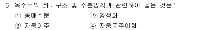 종자기사 2017년 6번 - 정답과 핵심 포인트를 검수 중인 기출문제
