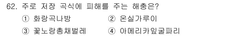 종자기사 2017년 62번 - 정답과 핵심 포인트를 검수 중인 기출문제