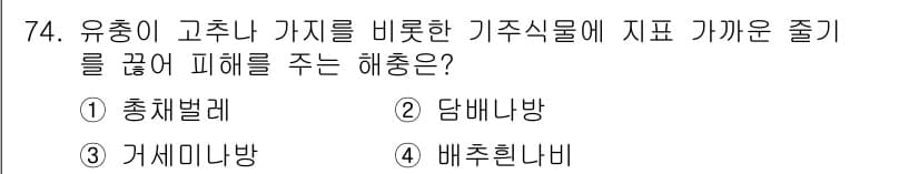 종자기사 2017년 74번 - 정답과 핵심 포인트를 검수 중인 기출문제