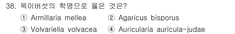 버섯종균기능사 2015년 38번 - 정답과 핵심 포인트를 검수 중인 기출문제