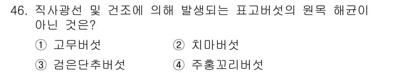 버섯종균기능사 2016년 46번 - 정답과 핵심 포인트를 검수 중인 기출문제
