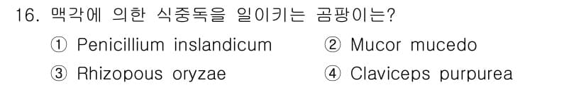 식품산업기사 2016년 16번 - 정답과 핵심 포인트를 검수 중인 기출문제