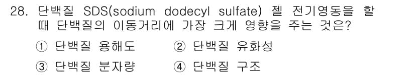 식품산업기사 2016년 28번 - 단백질의 이동거리에는 단백질의 구조가 큰 영향을 미치며, SDS 전기영동... 에 관한 핵심 기출문제