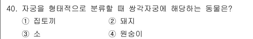축산기사 2016년 40번 - 정답과 핵심 포인트를 검수 중인 기출문제