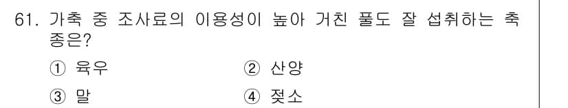 축산기사 2017년 61번 - 정답과 핵심 포인트를 검수 중인 기출문제