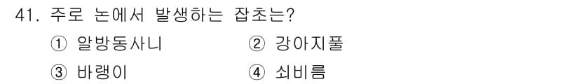 종자기능사 2015년 41번 - 정답은 3번 '바렝이'입니다. 주로 논에서 발생하는 잡초로는 알방동사니,... 에 관한 핵심 기출문제