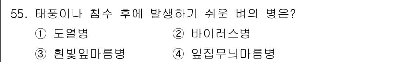 종자기능사 2015년 55번 - 정답과 핵심 포인트를 검수 중인 기출문제