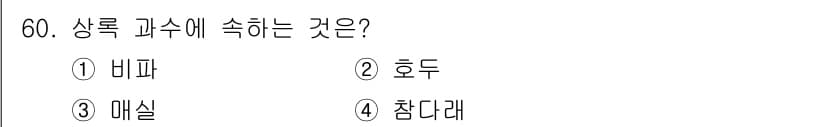 종자기능사 2015년 60번 - 정답과 핵심 포인트를 검수 중인 기출문제