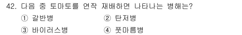 종자기능사 2016년 42번 - . 풋마름병

풋마름병은 토마토의 뿌리에서 발생하며, 전염성이 강해 연작... 에 관한 핵심 기출문제