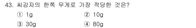 종자기능사 2016년 43번 - 씨감자의 현식 무게는 30g이 가장 적당합니다. 이 무게는 발아와 생장에... 에 관한 핵심 기출문제