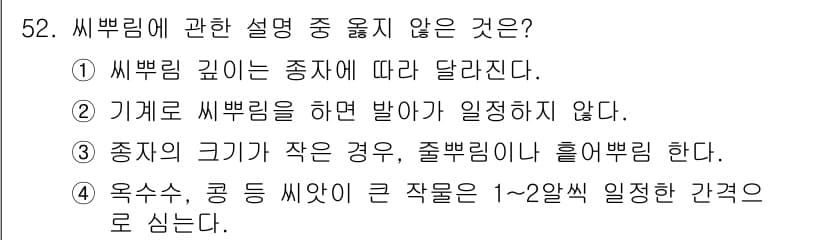 종자기능사 2016년 52번 - 정답 4번은 "옥수수, 콩 씨앗이 큰 작물은 1~2일 후 일어나는 경과로... 에 관한 핵심 기출문제