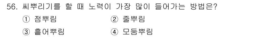 종자기능사 2016년 56번 - 정답과 핵심 포인트를 검수 중인 기출문제