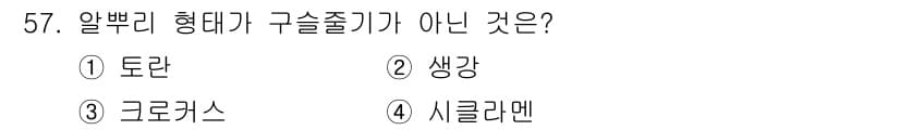 종자기능사 2016년 57번 - 정답은 2. 생강입니다. 알뿌리 형태는 주로 구술줄기로 번식하는 식물에 ... 에 관한 핵심 기출문제