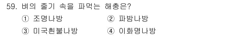 종자기능사 2016년 59번 - 정답과 핵심 포인트를 검수 중인 기출문제